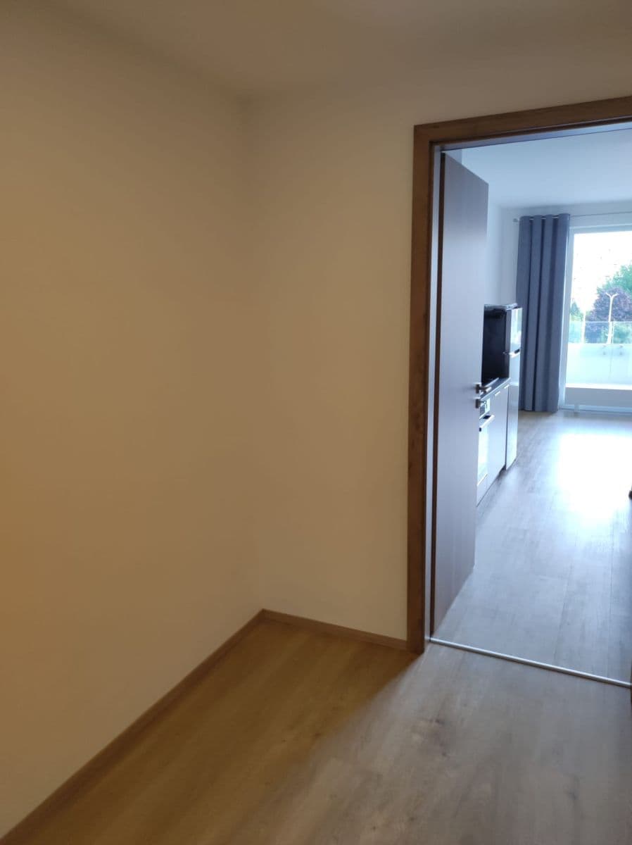Prenájom bytu 1-izbový 35 m², třída Generála Píky, Brno, Jihomoravský kraj Prenájom bytu 1-izbový 35 m², třída Generála Píky, Brno, Jihomoravský kraj