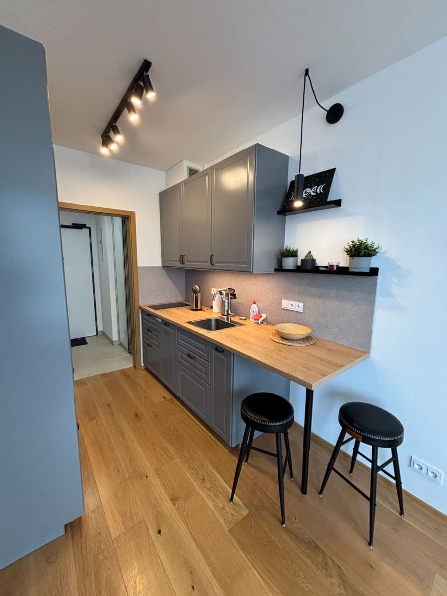 Prenájom bytu 1-izbový 33 m², Vladimíra Kobranova, Praha, Praha Prenájom bytu 1-izbový 33 m², Vladimíra Kobranova, Praha, Praha