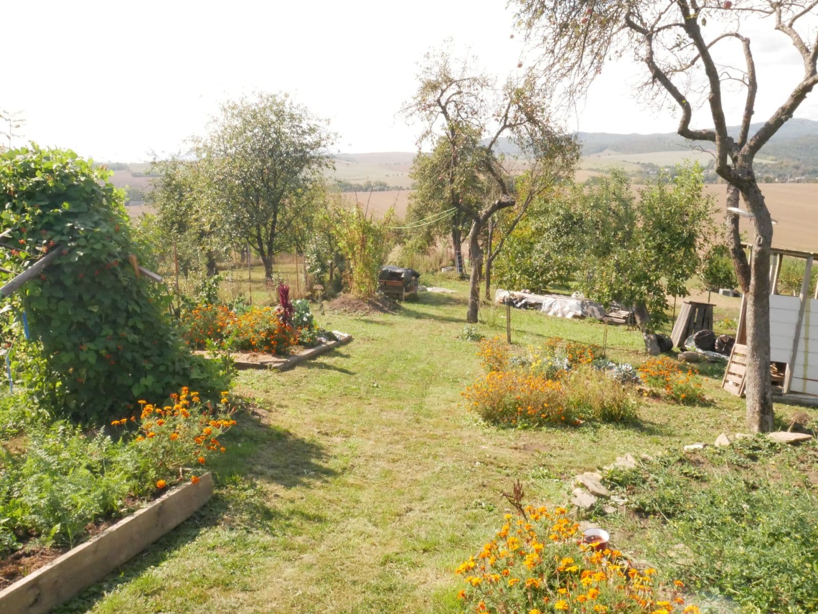 Predaj domu 124 m², pozemek 1.590 m², Veľký Slivník, Prešovský kraj Predaj domu 124 m², pozemek 1.590 m², Veľký Slivník, Prešovský kraj