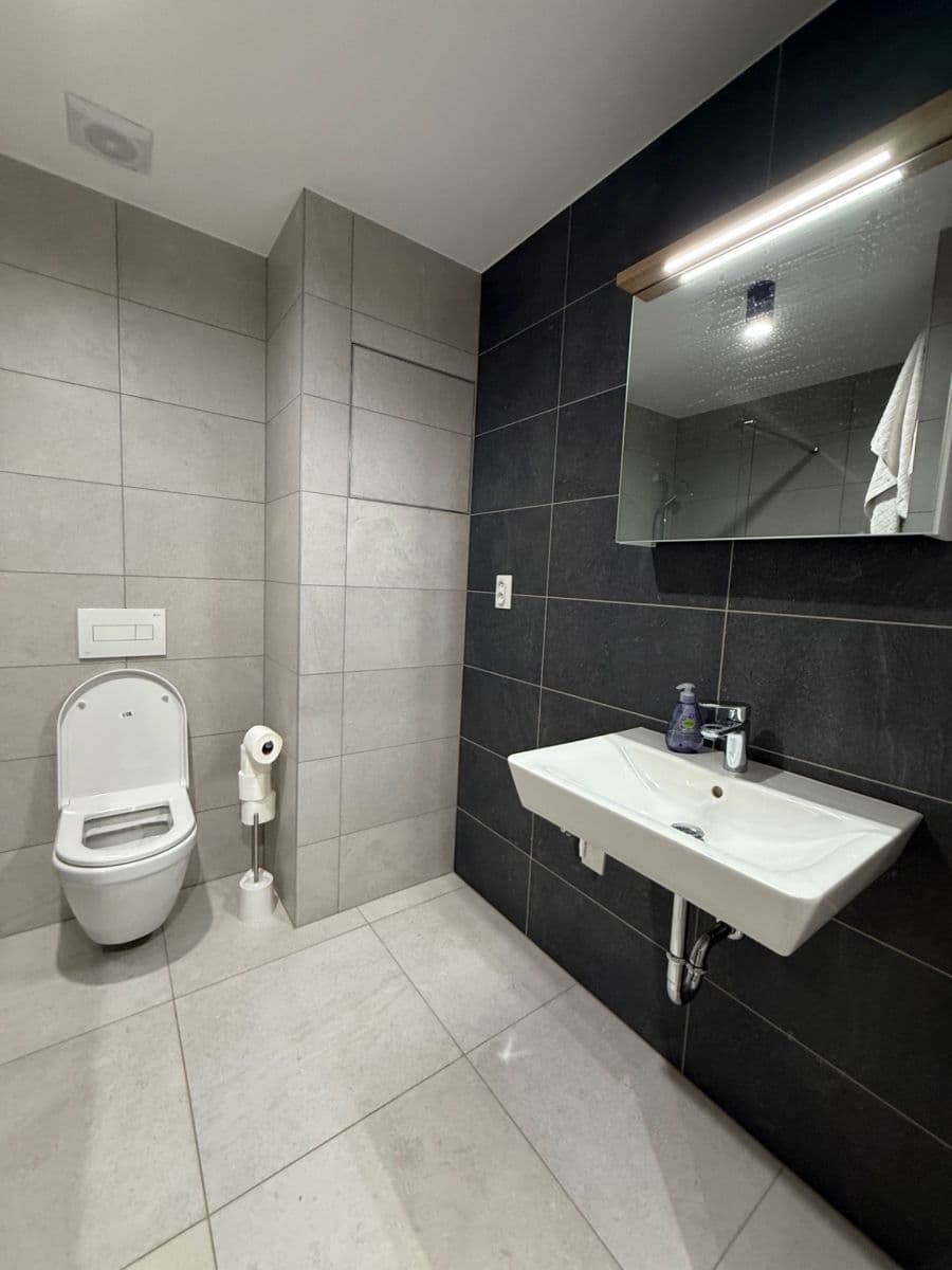 Prenájom bytu 1-izbový 28 m², Spolková, Brno, Jihomoravský kraj Prenájom bytu 1-izbový 28 m², Spolková, Brno, Jihomoravský kraj