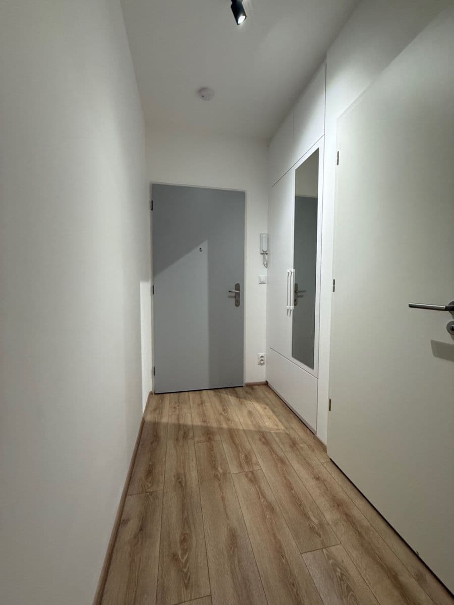 Prenájom bytu 1-izbový 28 m², Spolková, Brno, Jihomoravský kraj Prenájom bytu 1-izbový 28 m², Spolková, Brno, Jihomoravský kraj