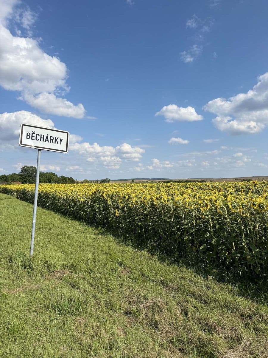 Prenájom rekreačného objektu, Běchary, Královéhradecký kraj Prenájom rekreačného objektu, Běchary, Královéhradecký kraj