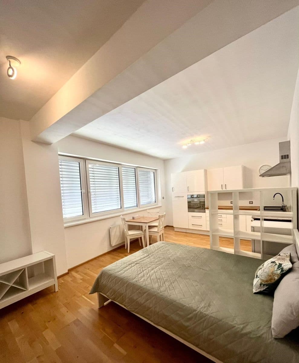 Prenájom bytu 1-izbový 37 m², Palackého třída, Brno, Jihomoravský kraj Prenájom bytu 1-izbový 37 m², Palackého třída, Brno, Jihomoravský kraj