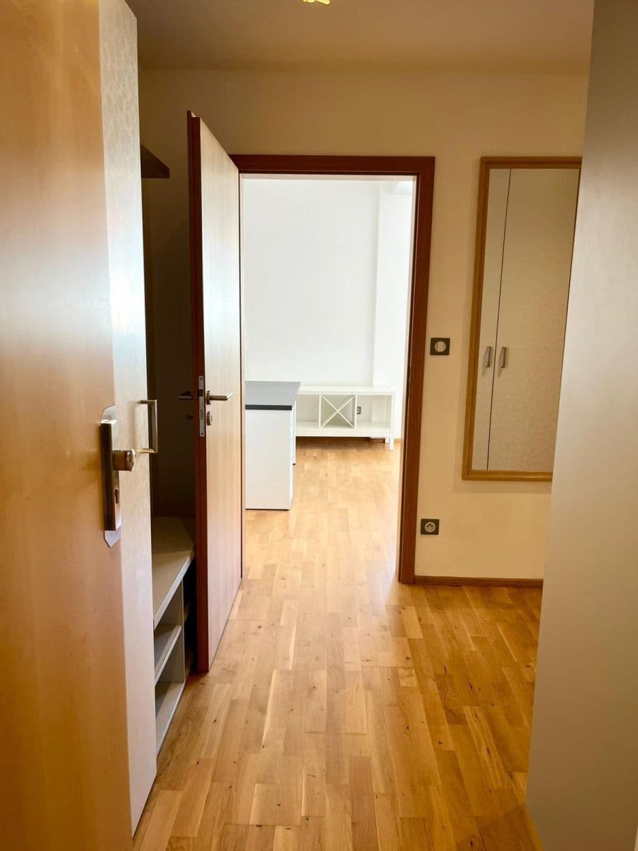 Prenájom bytu 1-izbový 37 m², Palackého třída, Brno, Jihomoravský kraj Prenájom bytu 1-izbový 37 m², Palackého třída, Brno, Jihomoravský kraj