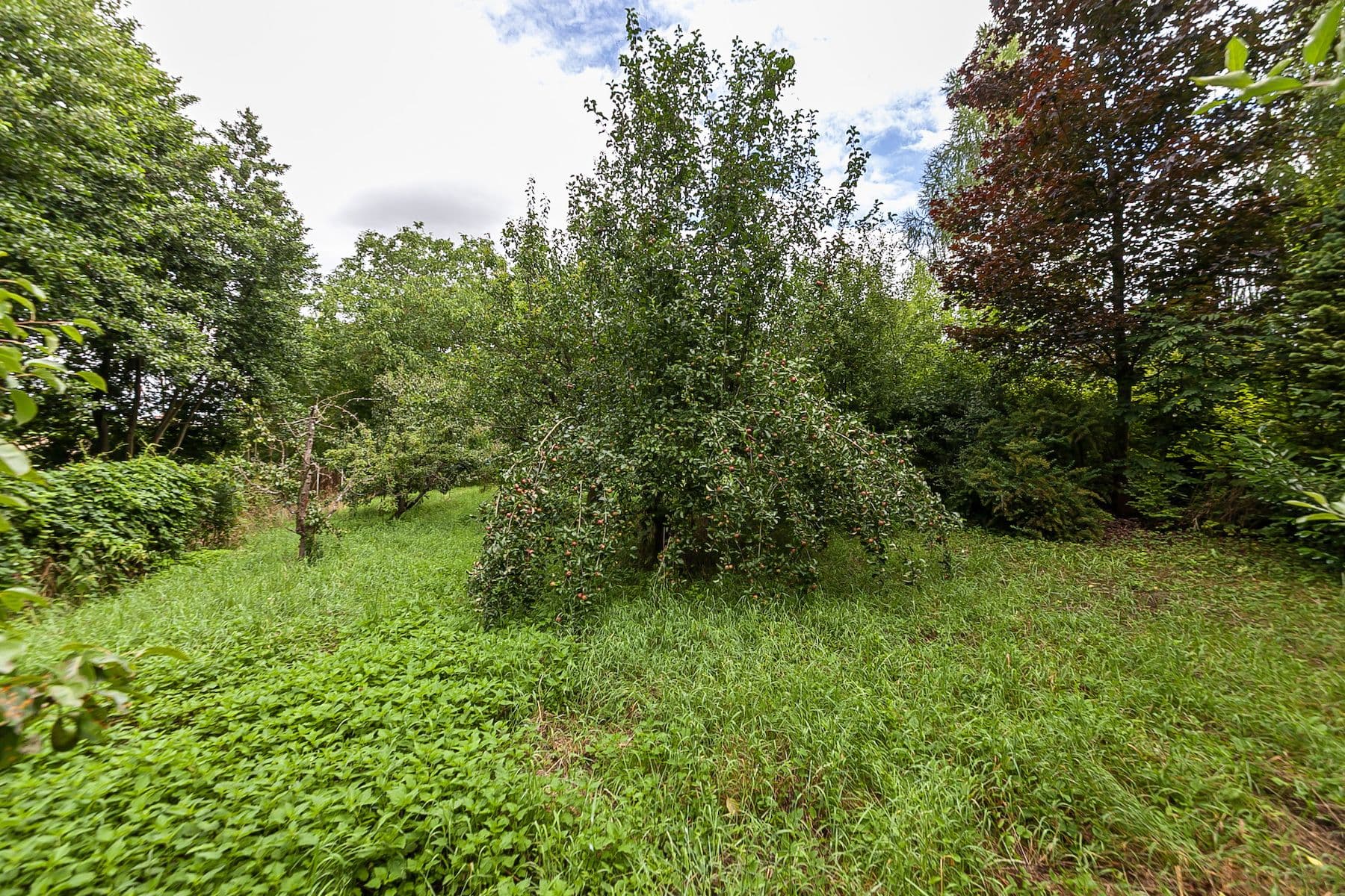 Predaj pozemku 2.621 m², Únětice, Údrnice, Královéhradecký kraj Predaj pozemku 2.621 m², Únětice, Údrnice, Královéhradecký kraj