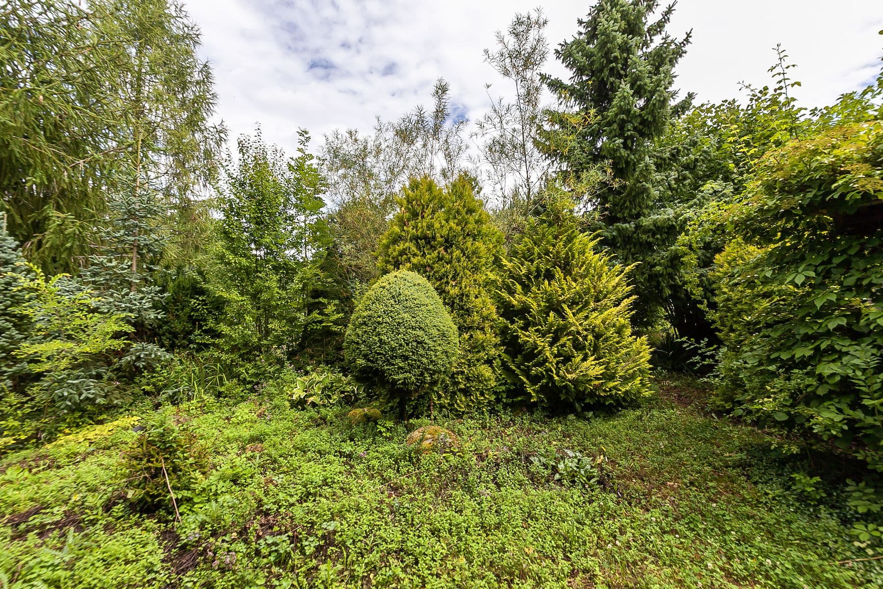 Predaj pozemku 2.621 m², Únětice, Údrnice, Královéhradecký kraj Predaj pozemku 2.621 m², Únětice, Údrnice, Královéhradecký kraj