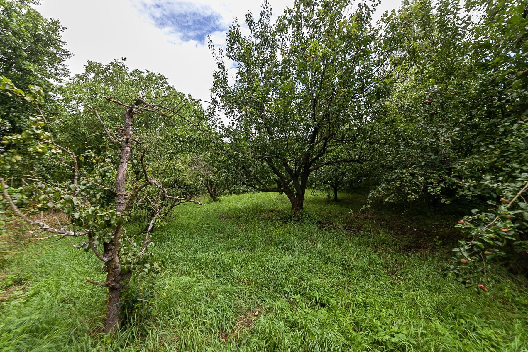 Predaj pozemku 2.621 m², Únětice, Údrnice, Královéhradecký kraj Predaj pozemku 2.621 m², Únětice, Údrnice, Královéhradecký kraj