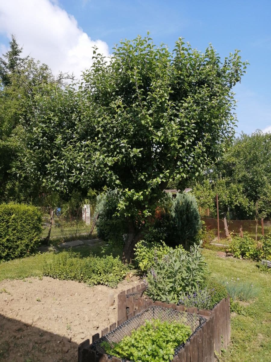 Predaj pozemku 400 m², Jihlava, Kraj Vysočina Predaj pozemku 400 m², Jihlava, Kraj Vysočina