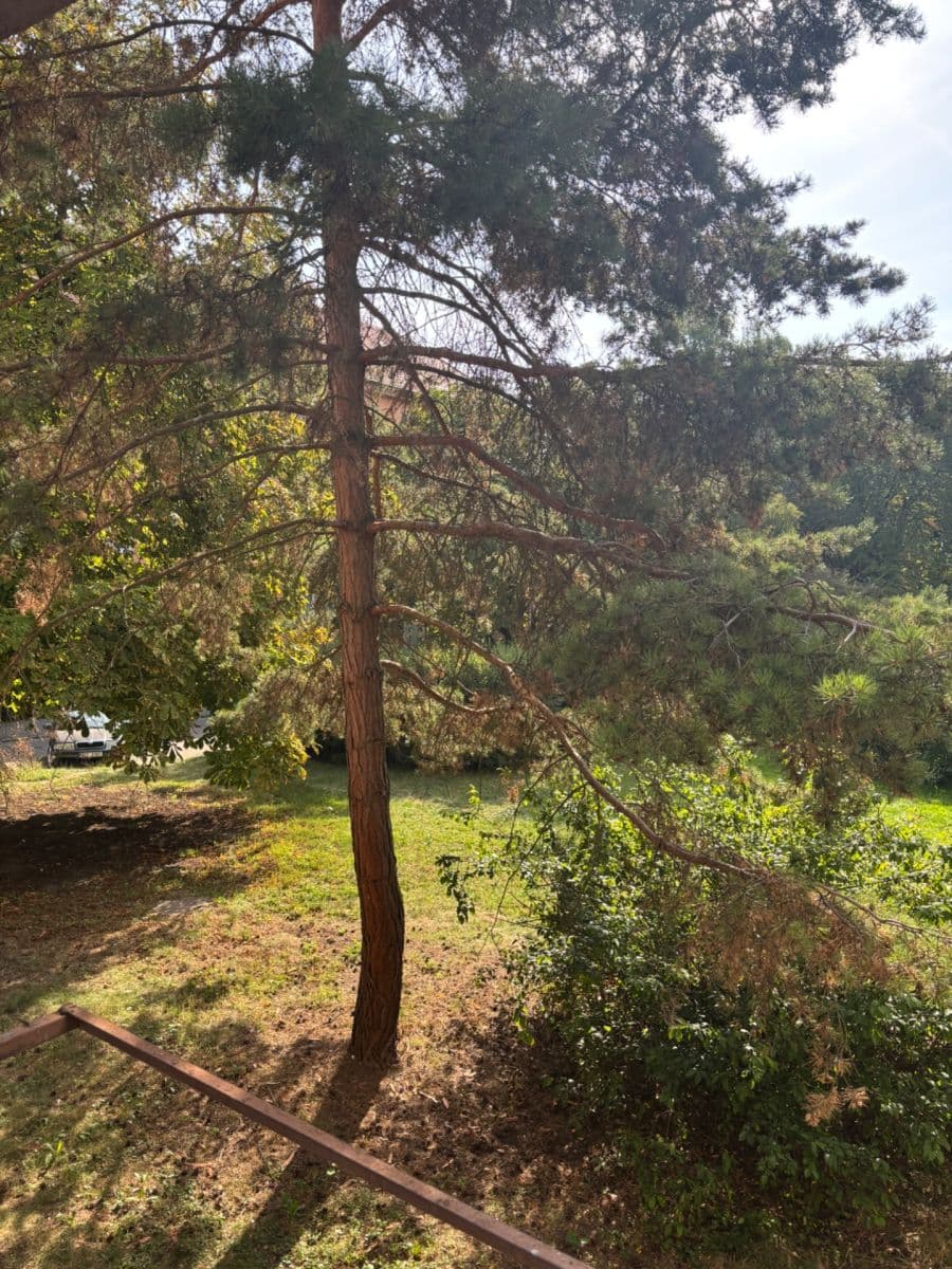 Prenájom bytu 2-izbový 54 m², Oldřicha Wenzla, Mělník, Středočeský kraj Prenájom bytu 2-izbový 54 m², Oldřicha Wenzla, Mělník, Středočeský kraj