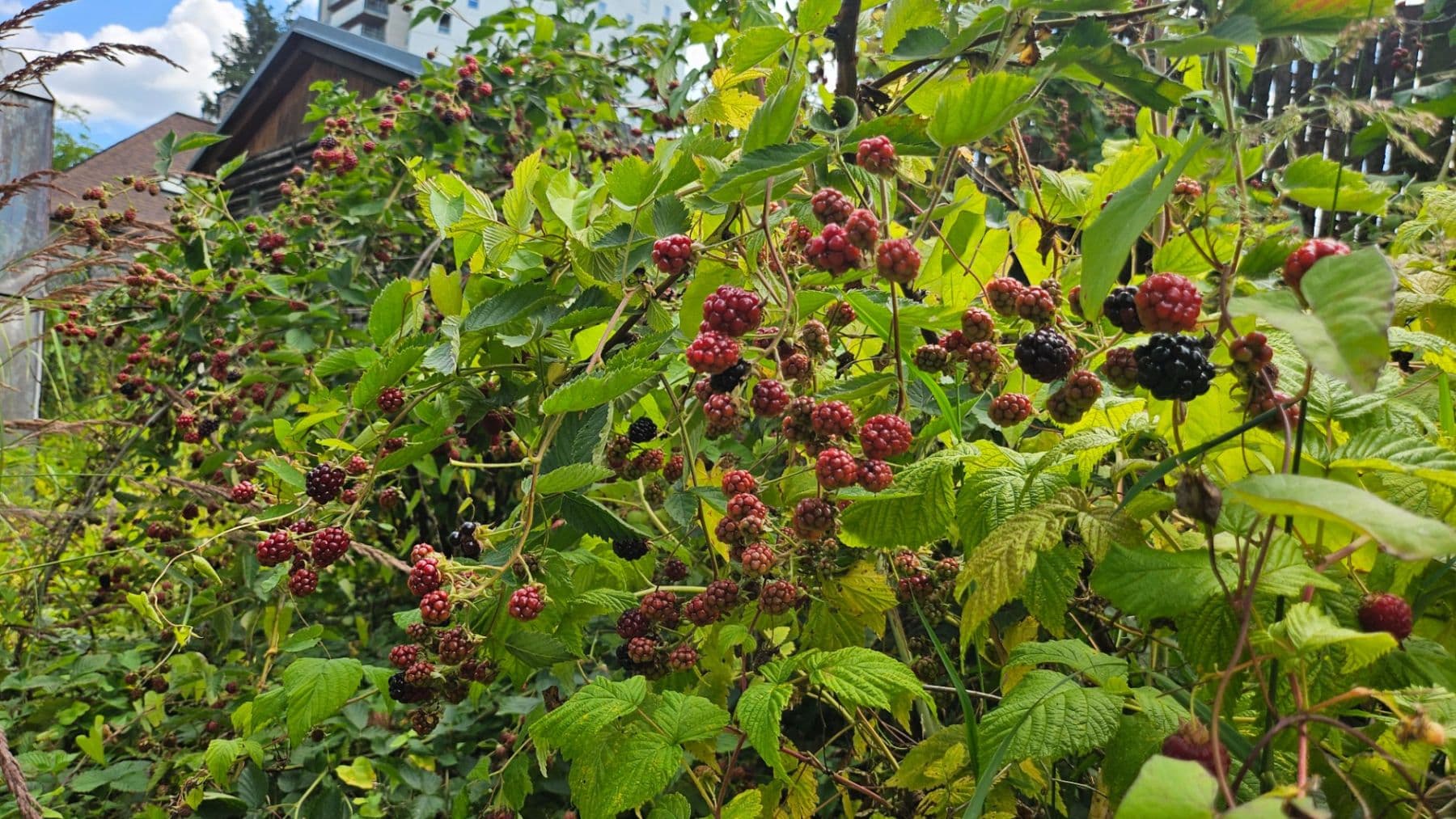 Predaj domu 120 m², pozemek 650 m², Čulenova, Žilina, Žilinský kraj Predaj domu 120 m², pozemek 650 m², Čulenova, Žilina, Žilinský kraj