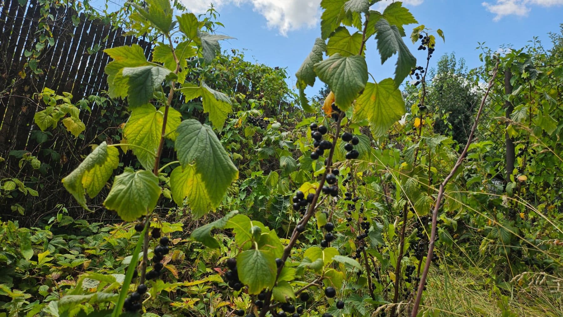 Predaj domu 120 m², pozemek 650 m², Čulenova, Žilina, Žilinský kraj Predaj domu 120 m², pozemek 650 m², Čulenova, Žilina, Žilinský kraj