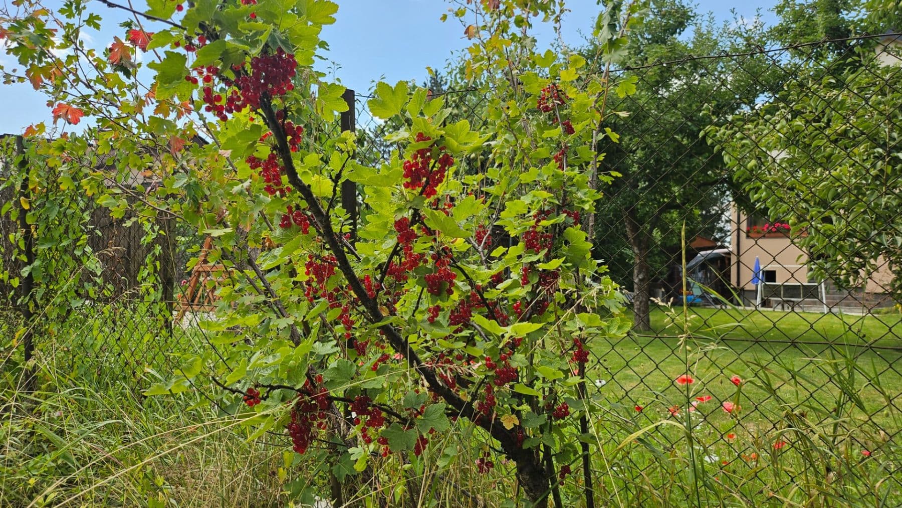 Predaj domu 120 m², pozemek 650 m², Čulenova, Žilina, Žilinský kraj Predaj domu 120 m², pozemek 650 m², Čulenova, Žilina, Žilinský kraj