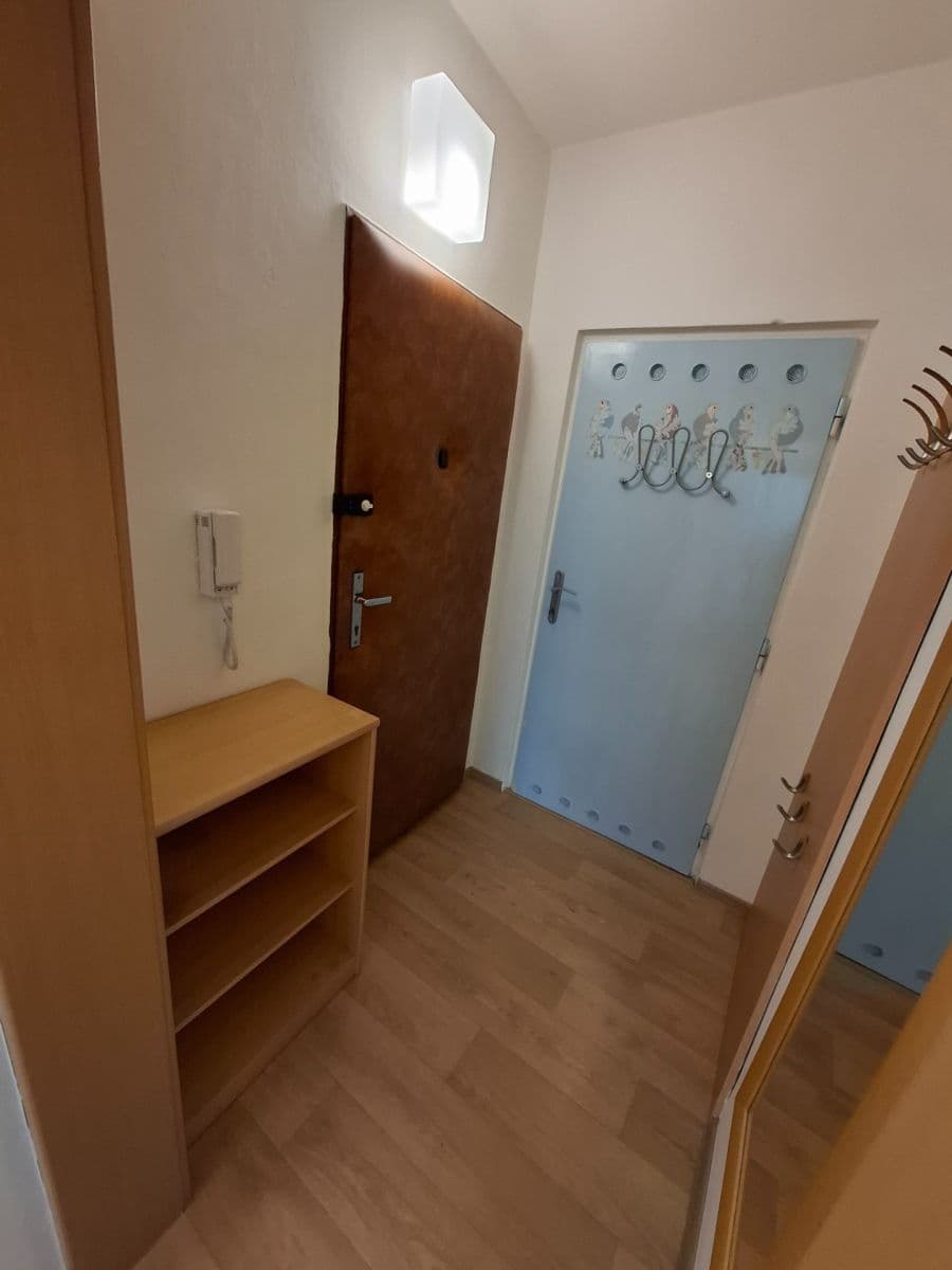 Prenájom bytu 1-izbový 28 m², Palackého třída, Brno, Jihomoravský kraj Prenájom bytu 1-izbový 28 m², Palackého třída, Brno, Jihomoravský kraj