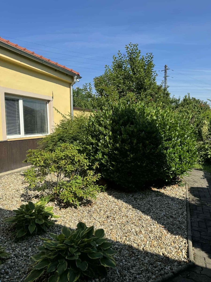 Prenájom kancelárie 45 m², Sokolova, Brno, Jihomoravský kraj Prenájom kancelárie 45 m², Sokolova, Brno, Jihomoravský kraj