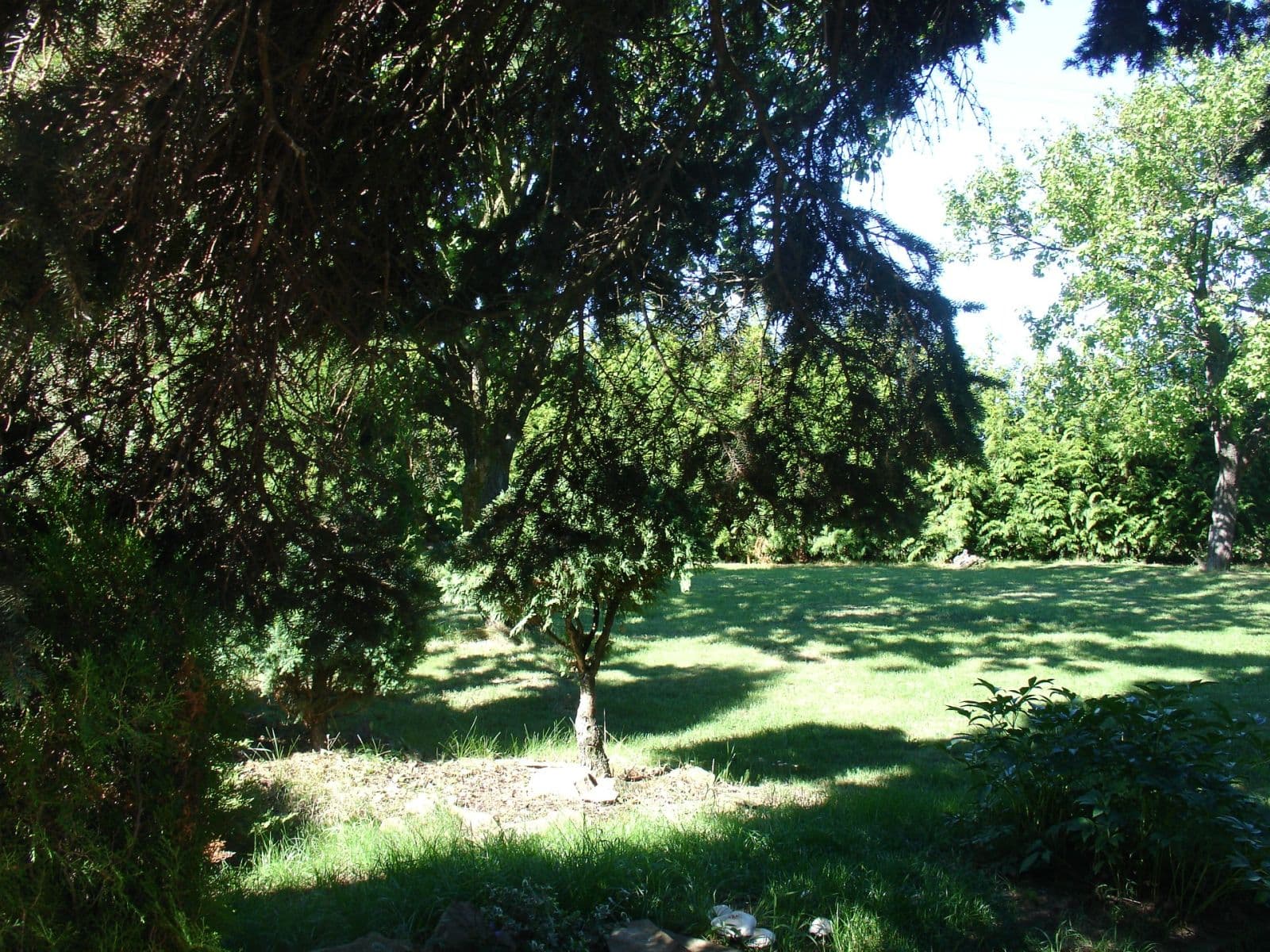 Prenájom bytu 3-izbový 115 m², Alojzov, Olomoucký kraj Prenájom bytu 3-izbový 115 m², Alojzov, Olomoucký kraj