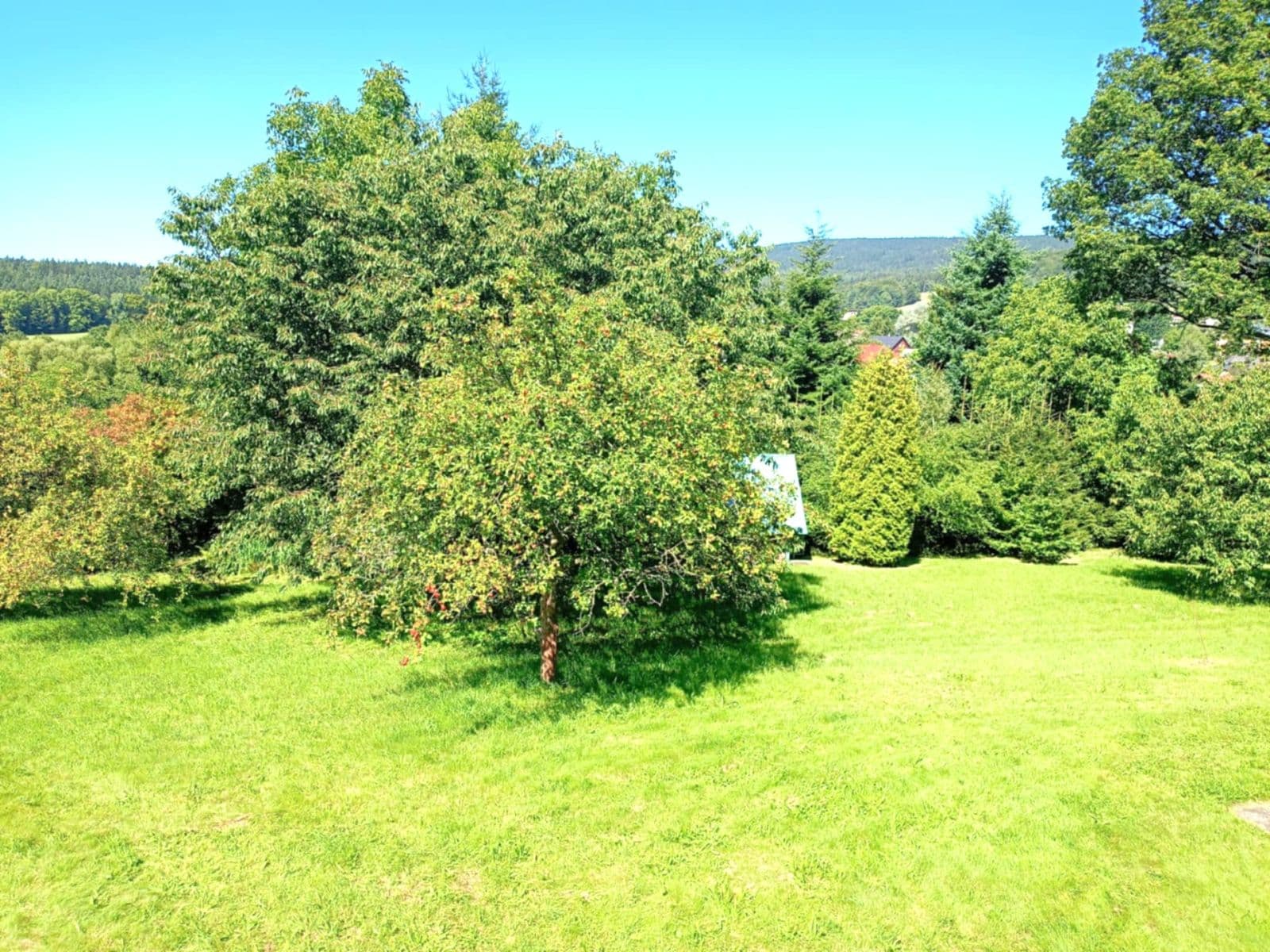 Predaj domu 260 m², pozemek 1.263 m², Zásada, Liberecký kraj Predaj domu 260 m², pozemek 1.263 m², Zásada, Liberecký kraj