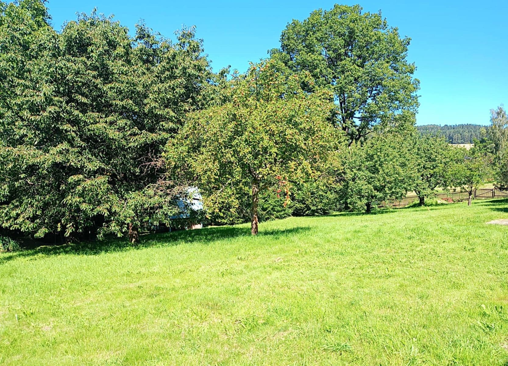 Predaj domu 260 m², pozemek 1.263 m², Zásada, Liberecký kraj Predaj domu 260 m², pozemek 1.263 m², Zásada, Liberecký kraj