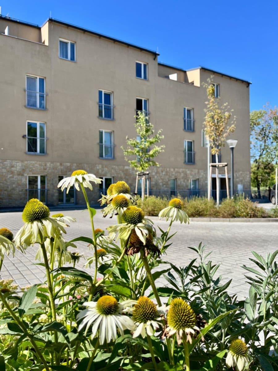 Prenájom bytu 1-izbový 22 m², V Kněžívce, Tuchoměřice, Středočeský kraj Prenájom bytu 1-izbový 22 m², V Kněžívce, Tuchoměřice, Středočeský kraj