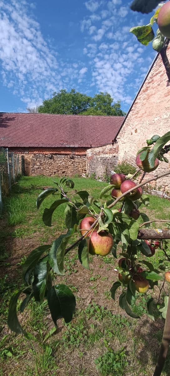 Prenájom domu 60 m², pozemek 260 m², Mezouň, Středočeský kraj Prenájom domu 60 m², pozemek 260 m², Mezouň, Středočeský kraj