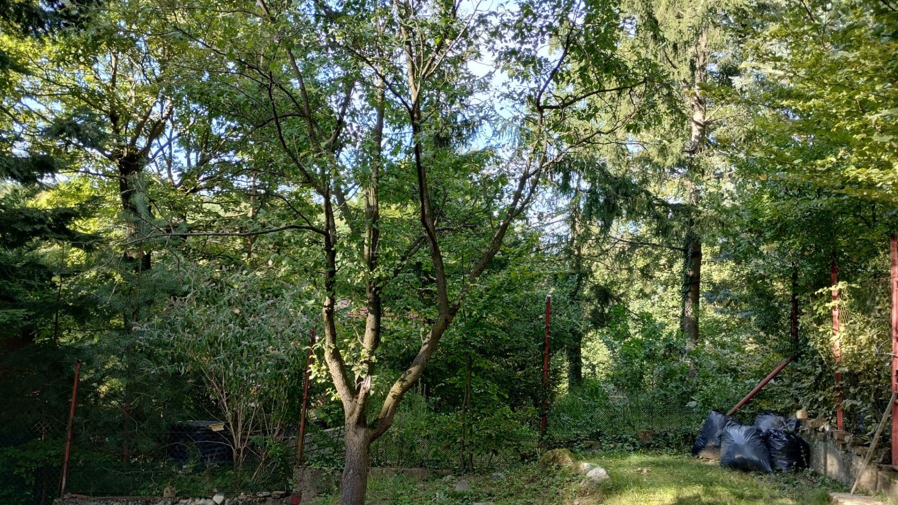 Predaj rekreačného objektu 32 m², pozemek 374 m², Plánky, Záhorská Bystrica, Bratislavský kraj Predaj rekreačného objektu 32 m², pozemek 374 m², Plánky, Záhorská Bystrica, Bratislavský kraj