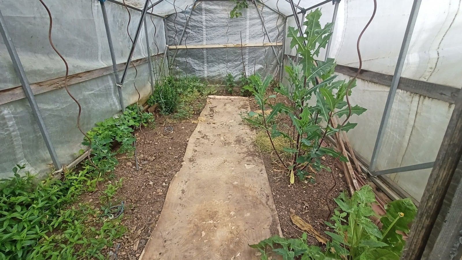 Predaj domu 74 m², pozemek 2.329 m², Hořesedly, Středočeský kraj Predaj domu 74 m², pozemek 2.329 m², Hořesedly, Středočeský kraj