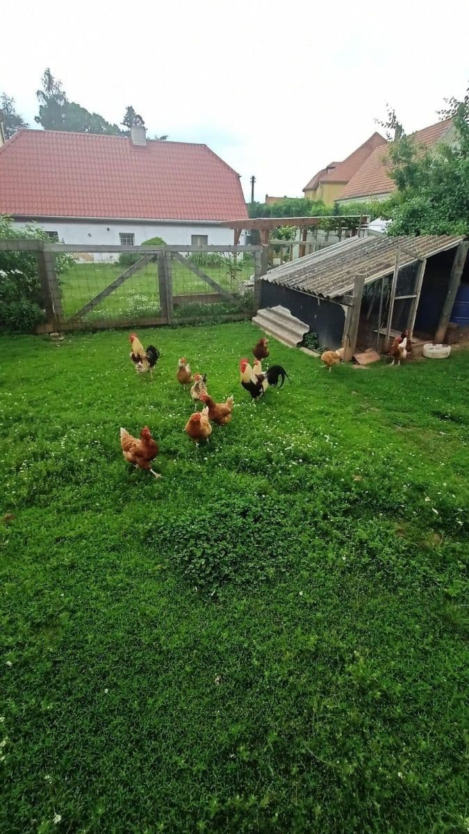 Predaj domu 74 m², pozemek 2.329 m², Hořesedly, Středočeský kraj Predaj domu 74 m², pozemek 2.329 m², Hořesedly, Středočeský kraj