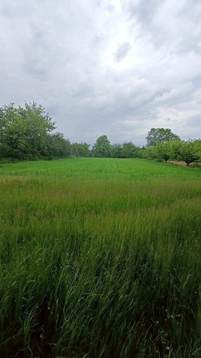 Predaj domu 74 m², pozemek 2.329 m², Hořesedly, Středočeský kraj Predaj domu 74 m², pozemek 2.329 m², Hořesedly, Středočeský kraj