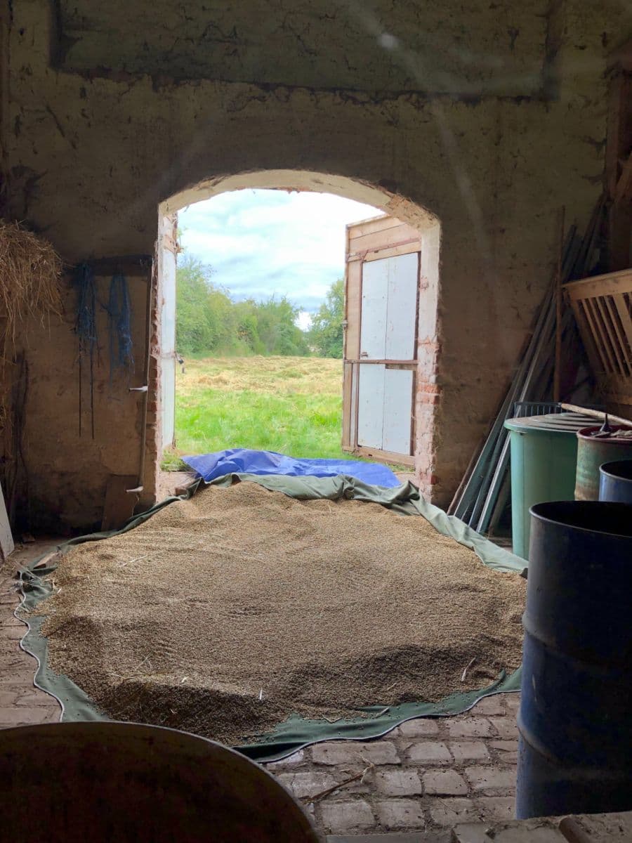 Predaj domu 74 m², pozemek 2.329 m², Hořesedly, Středočeský kraj Predaj domu 74 m², pozemek 2.329 m², Hořesedly, Středočeský kraj