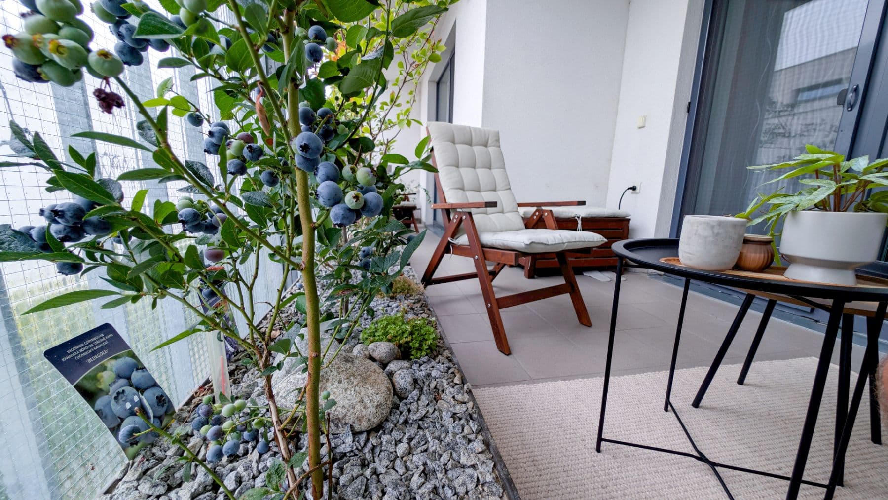 Prenájom bytu 2-izbový 82 m², Rokycanova, Olomouc, Olomoucký kraj Prenájom bytu 2-izbový 82 m², Rokycanova, Olomouc, Olomoucký kraj