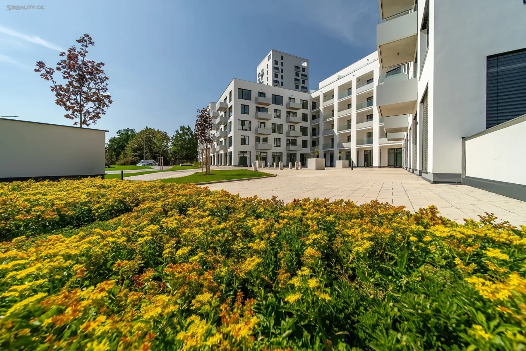 Prenájom bytu 1-izbový 29 m², třída Generála Píky, Brno, Jihomoravský kraj Prenájom bytu 1-izbový 29 m², třída Generála Píky, Brno, Jihomoravský kraj