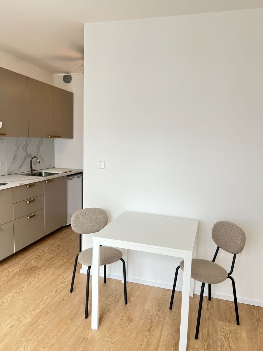 Prenájom bytu 1-izbový 29 m², třída Generála Píky, Brno, Jihomoravský kraj Prenájom bytu 1-izbový 29 m², třída Generála Píky, Brno, Jihomoravský kraj