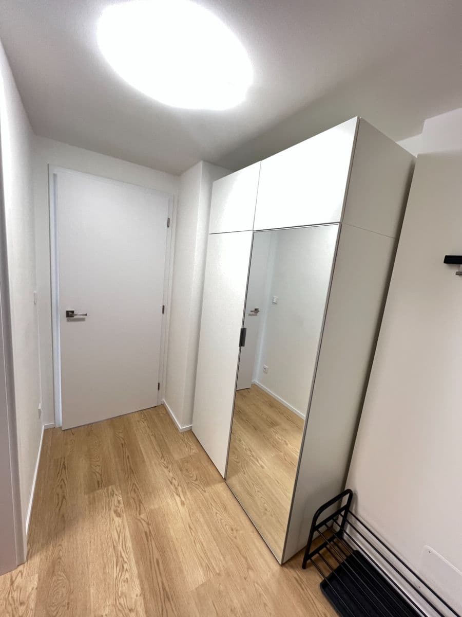 Prenájom bytu 1-izbový 29 m², třída Generála Píky, Brno, Jihomoravský kraj Prenájom bytu 1-izbový 29 m², třída Generála Píky, Brno, Jihomoravský kraj