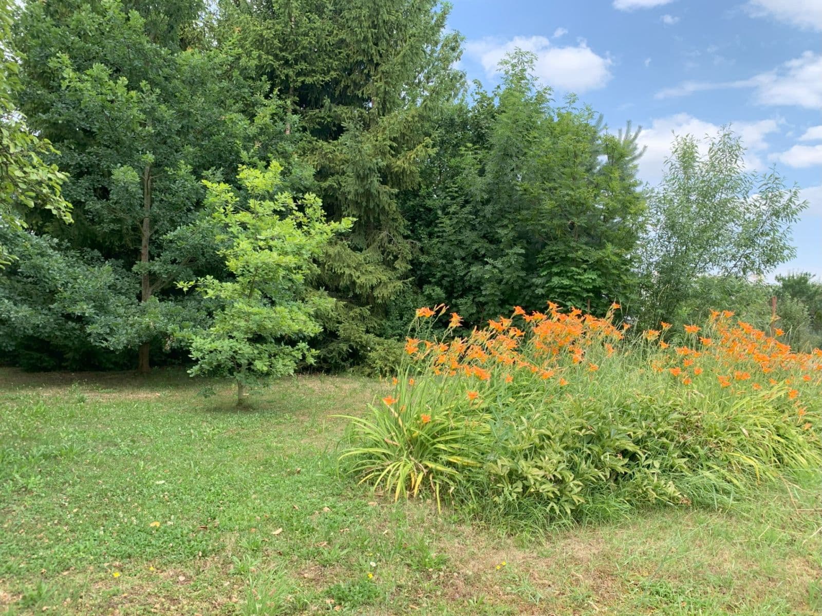 Predaj domu 200 m², pozemek 1.282 m², Požárníků, Dolní Bousov, Středočeský kraj Predaj domu 200 m², pozemek 1.282 m², Požárníků, Dolní Bousov, Středočeský kraj