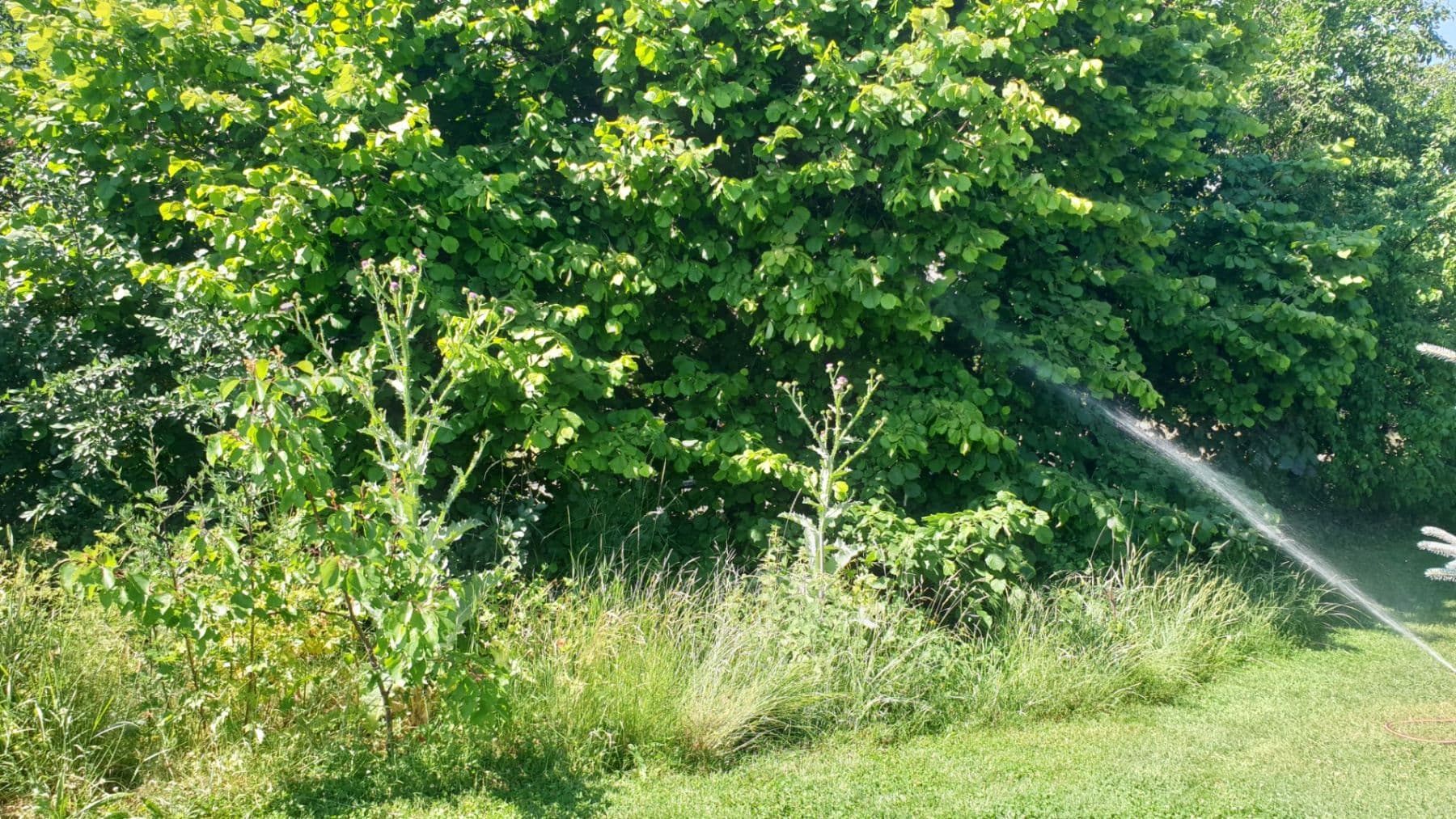 Predaj domu 200 m², pozemek 2.958 m², Ořechová, Mělník, Středočeský kraj Predaj domu 200 m², pozemek 2.958 m², Ořechová, Mělník, Středočeský kraj