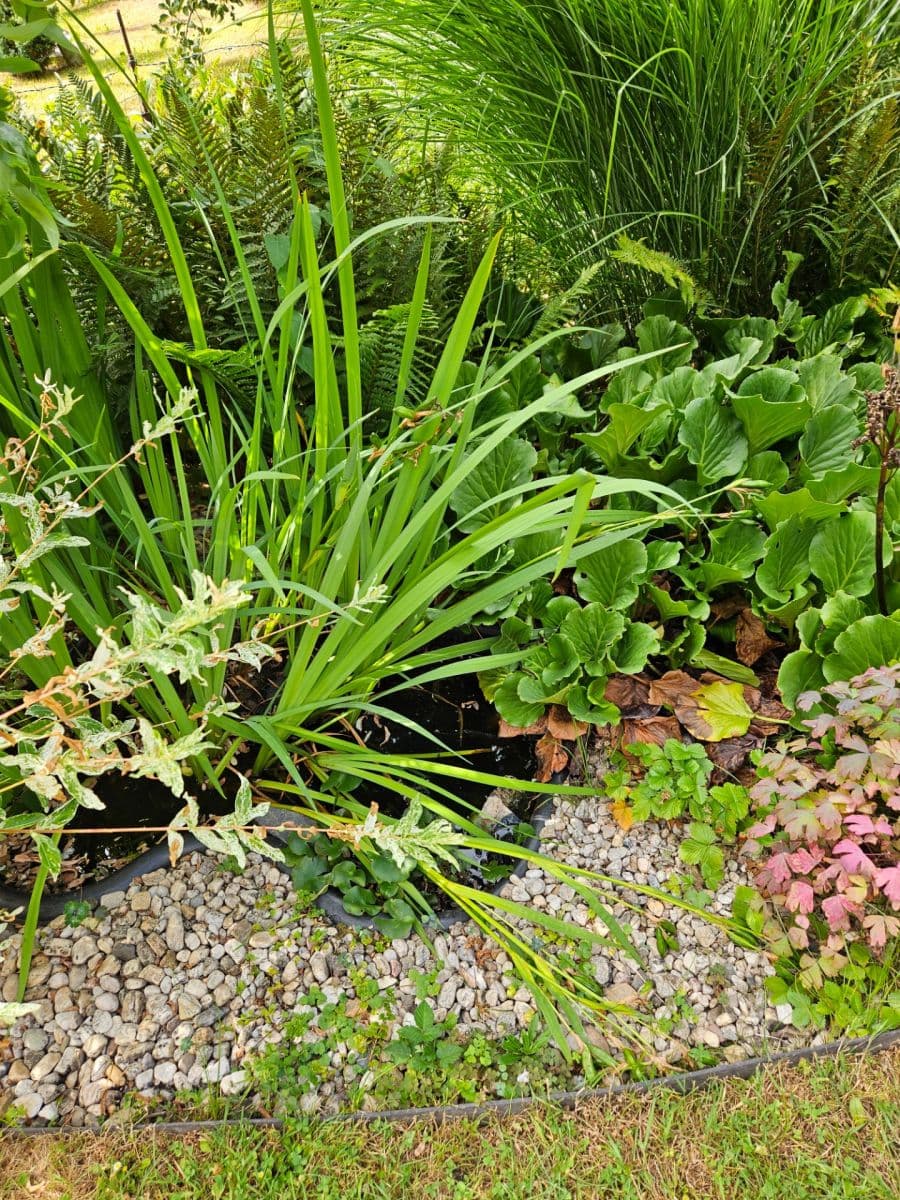 Predaj rekreačného objektu 28 m², pozemek 461 m², K Pazderkám, Praha, Praha Predaj rekreačného objektu 28 m², pozemek 461 m², K Pazderkám, Praha, Praha