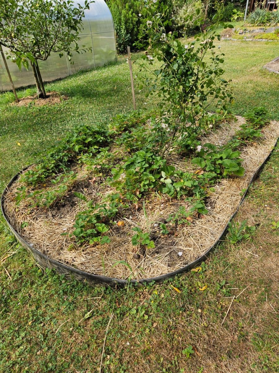 Predaj rekreačného objektu 28 m², pozemek 461 m², K Pazderkám, Praha, Praha Predaj rekreačného objektu 28 m², pozemek 461 m², K Pazderkám, Praha, Praha