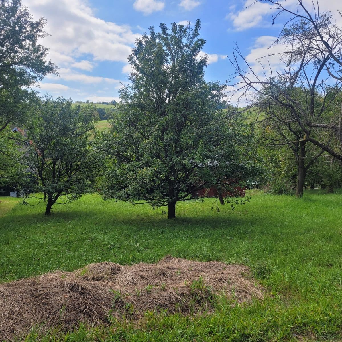 Predaj pozemku 1.074 m², Napajedla, Zlínský kraj Predaj pozemku 1.074 m², Napajedla, Zlínský kraj