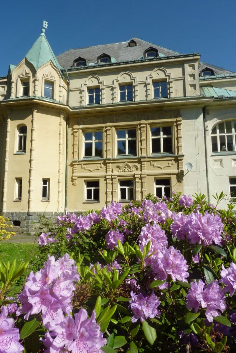 Prenájom domu 3.711 m², Lyžařská, Vysoké nad Jizerou, Liberecký kraj Prenájom domu 3.711 m², Lyžařská, Vysoké nad Jizerou, Liberecký kraj