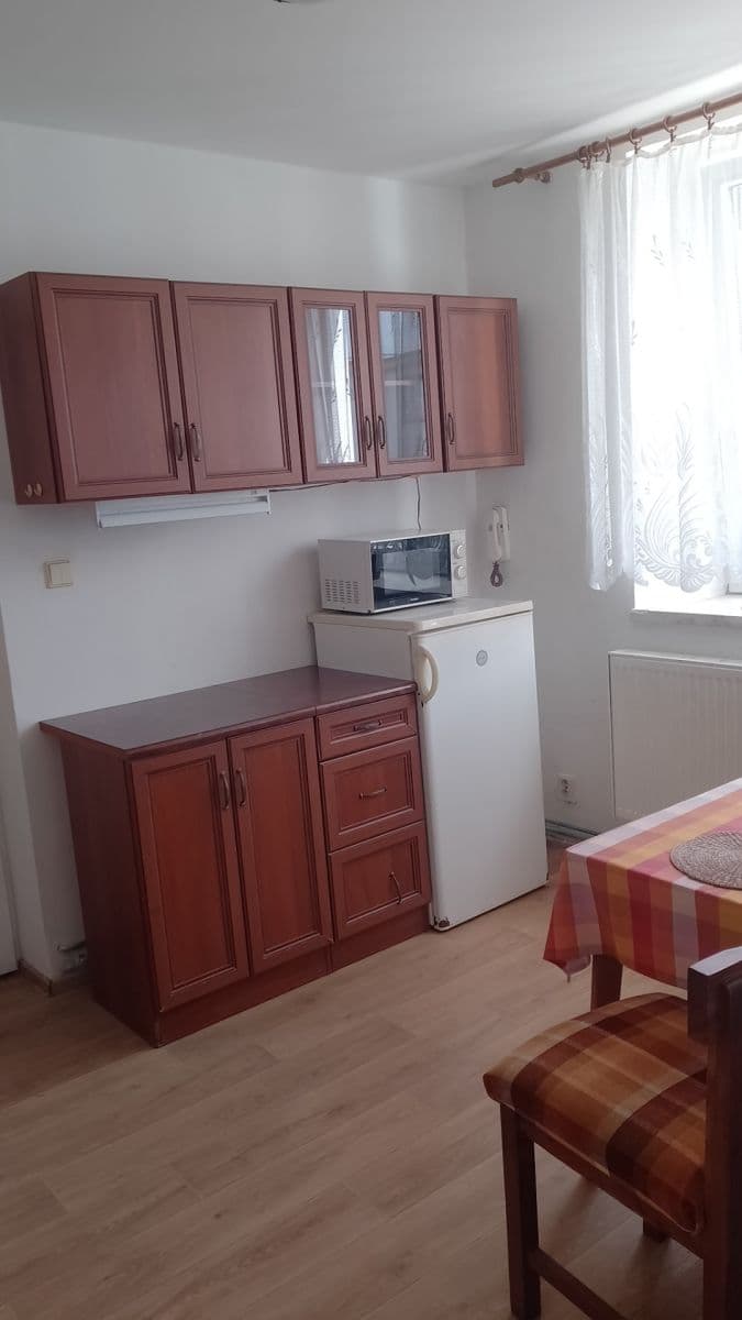 Prenájom bytu 1-izbový 48 m², Mozartova, Plzeň, Plzeňský kraj Prenájom bytu 1-izbový 48 m², Mozartova, Plzeň, Plzeňský kraj