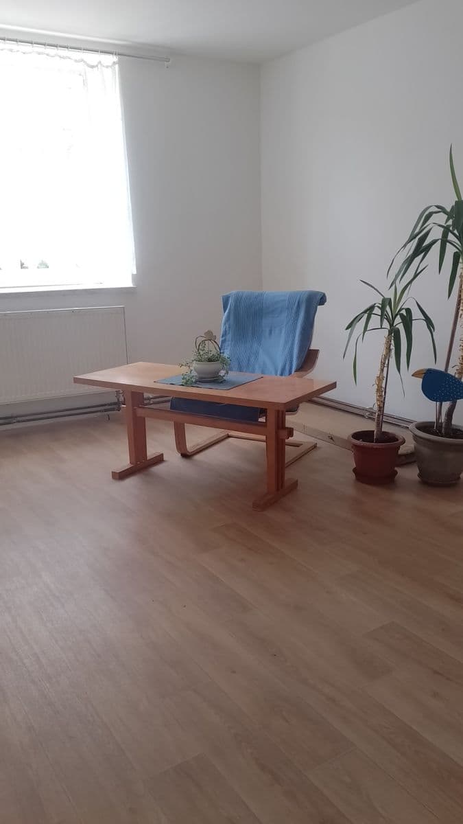 Prenájom bytu 1-izbový 48 m², Mozartova, Plzeň, Plzeňský kraj Prenájom bytu 1-izbový 48 m², Mozartova, Plzeň, Plzeňský kraj