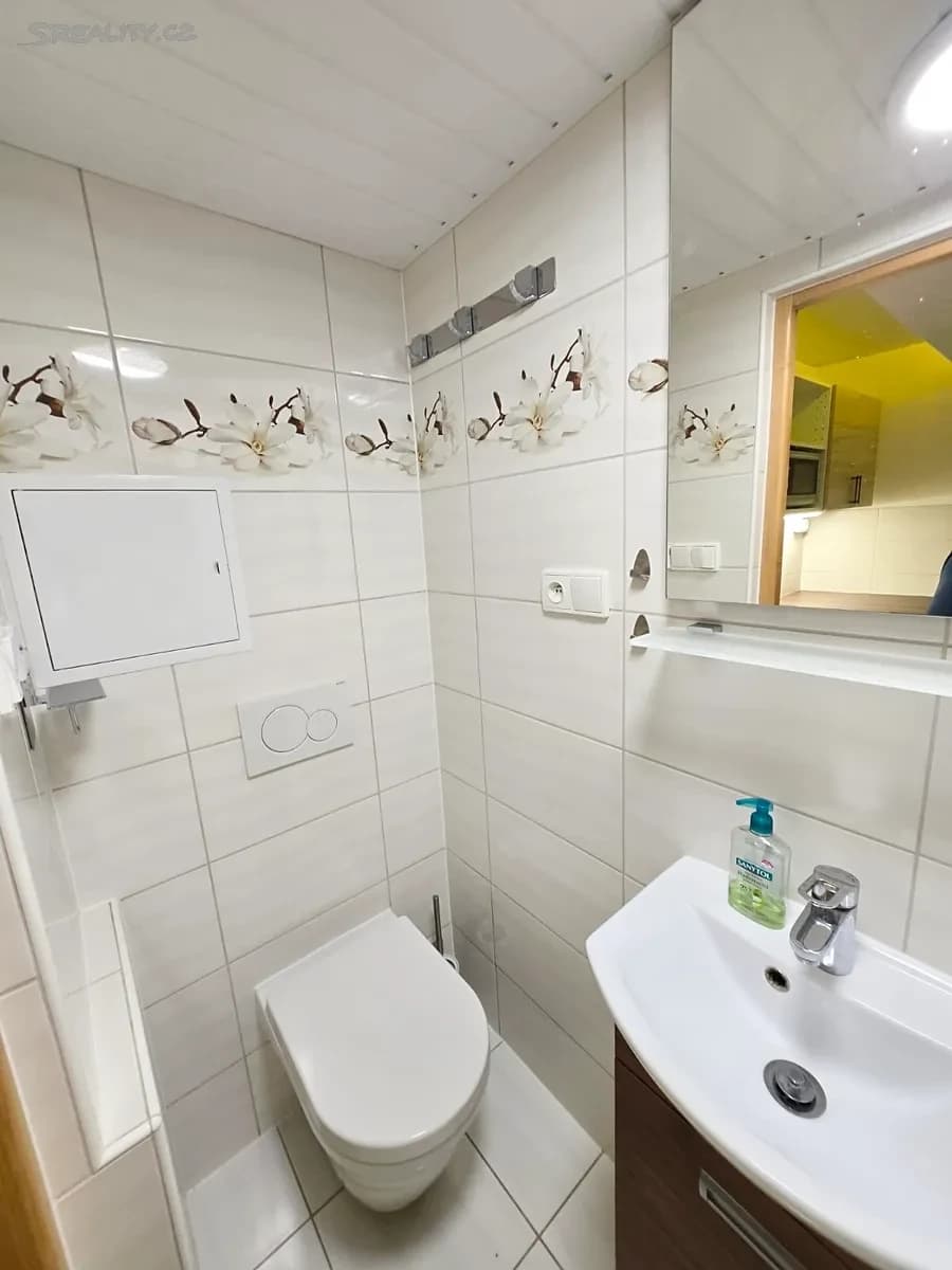 Prenájom bytu 1-izbový 25 m², Heranova, Praha, Praha Prenájom bytu 1-izbový 25 m², Heranova, Praha, Praha