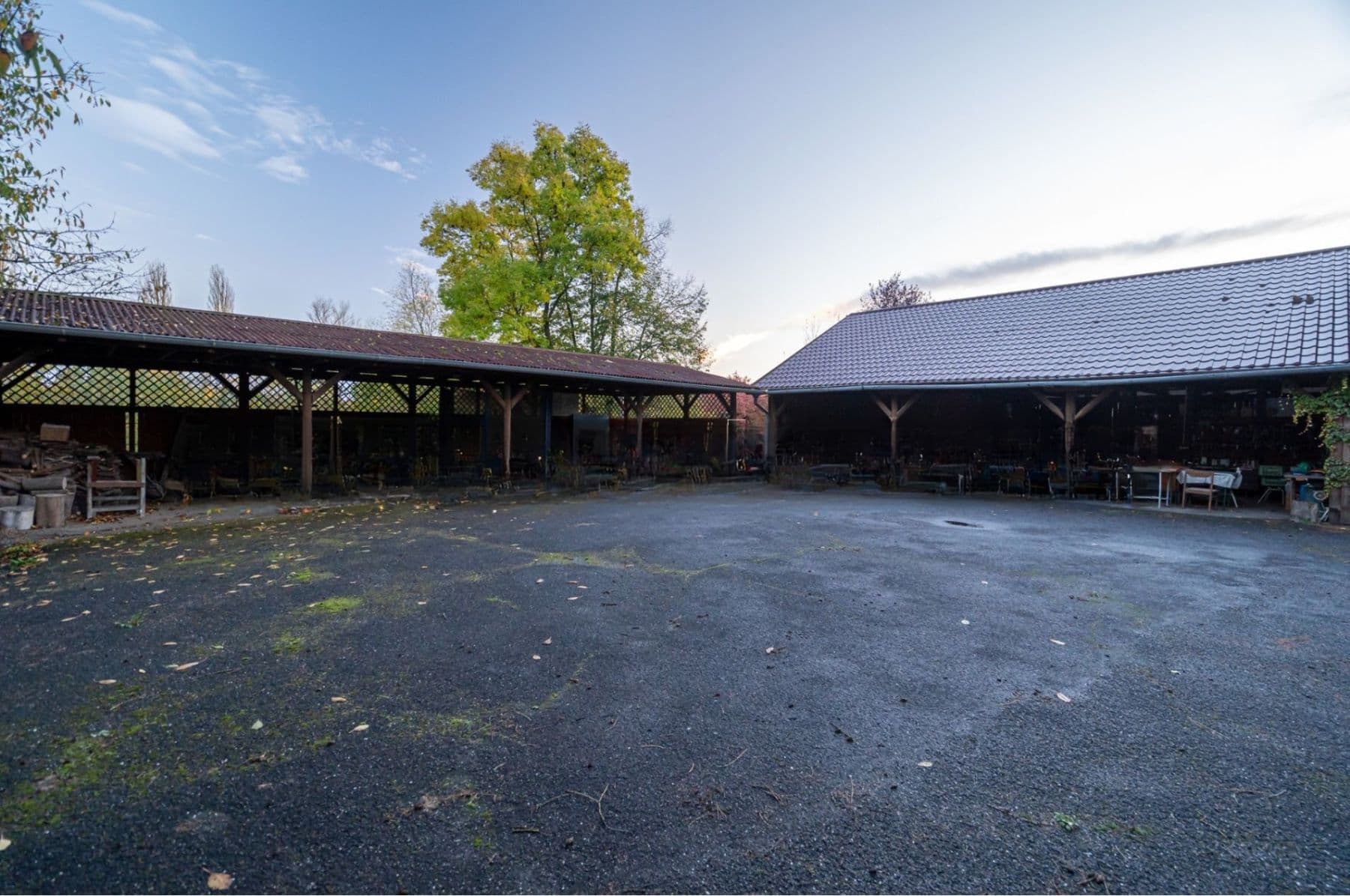 Prenájom domu 250 m², pozemek 10.280 m², Olomouc, Olomoucký kraj Prenájom domu 250 m², pozemek 10.280 m², Olomouc, Olomoucký kraj