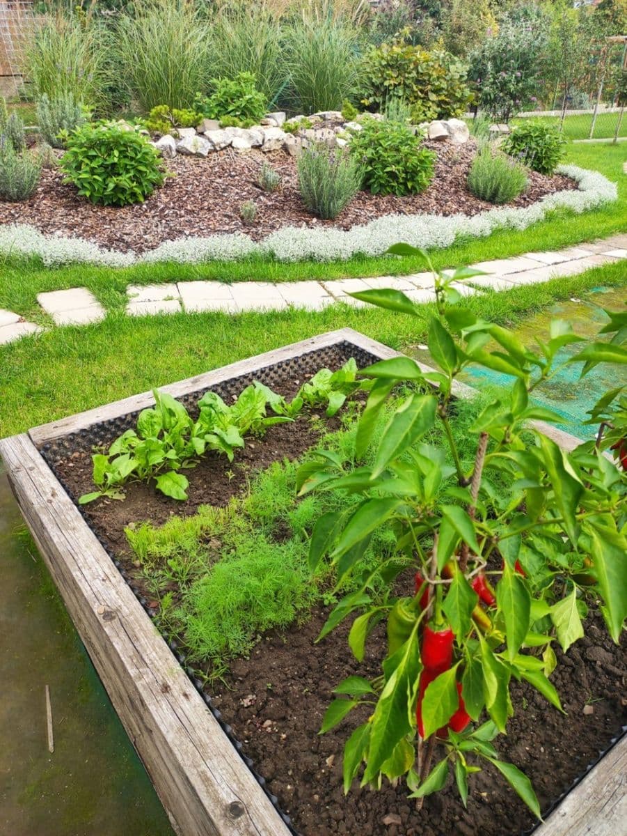 Predaj domu 92 m², pozemek 554 m², Komenského, Šlapanice, Jihomoravský kraj Predaj domu 92 m², pozemek 554 m², Komenského, Šlapanice, Jihomoravský kraj