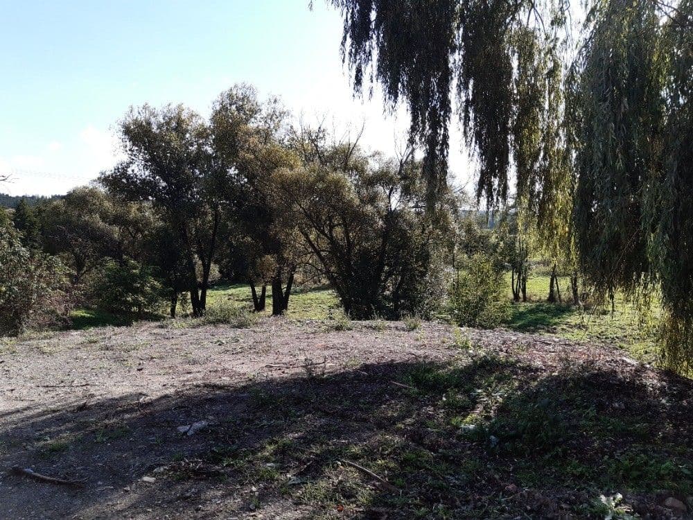 Prenájom nebytového priestoru 200 m², Stříbrná Lhota, Mníšek pod Brdy, Středočeský kraj Prenájom nebytového priestoru 200 m², Stříbrná Lhota, Mníšek pod Brdy, Středočeský kraj