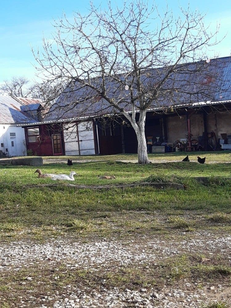Prenájom nebytového priestoru 200 m², Stříbrná Lhota, Mníšek pod Brdy, Středočeský kraj Prenájom nebytového priestoru 200 m², Stříbrná Lhota, Mníšek pod Brdy, Středočeský kraj