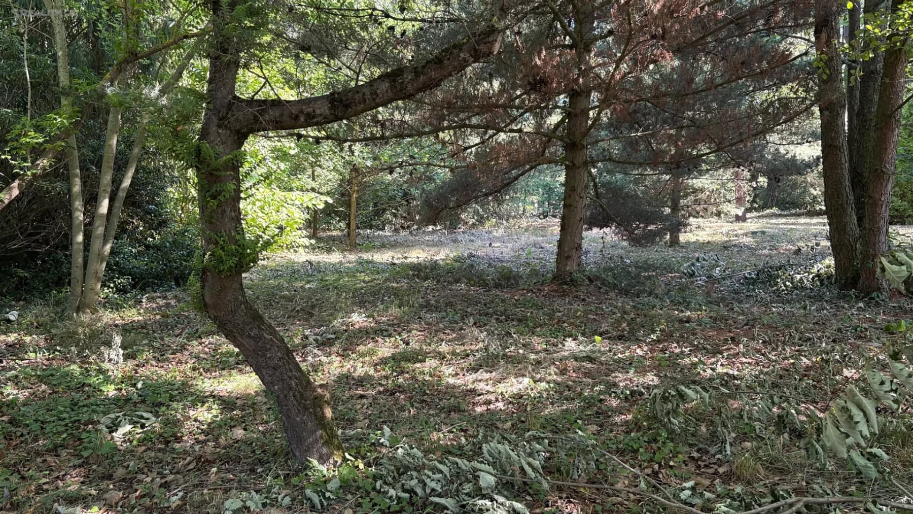 Predaj pozemku 3.385 m², Plzeň, Plzeňský kraj Predaj pozemku 3.385 m², Plzeň, Plzeňský kraj