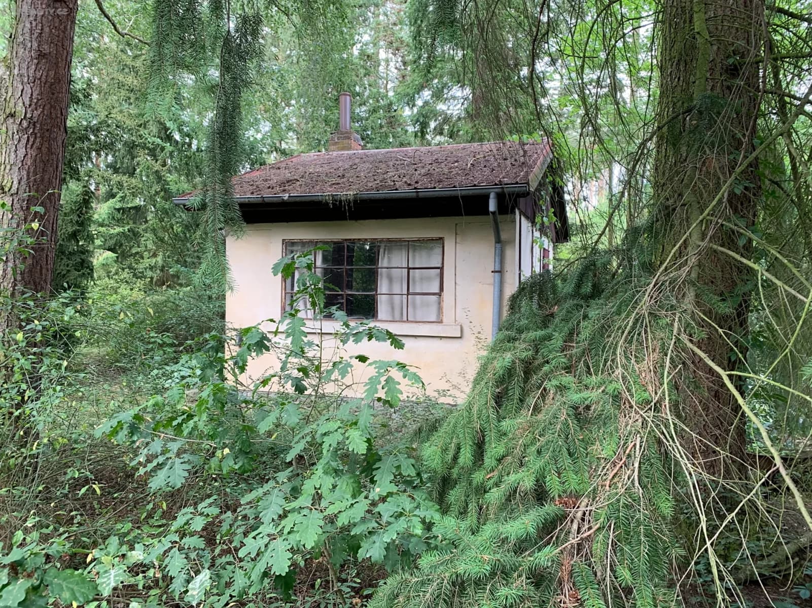 Predaj pozemku 3.385 m², Plzeň, Plzeňský kraj Predaj pozemku 3.385 m², Plzeň, Plzeňský kraj