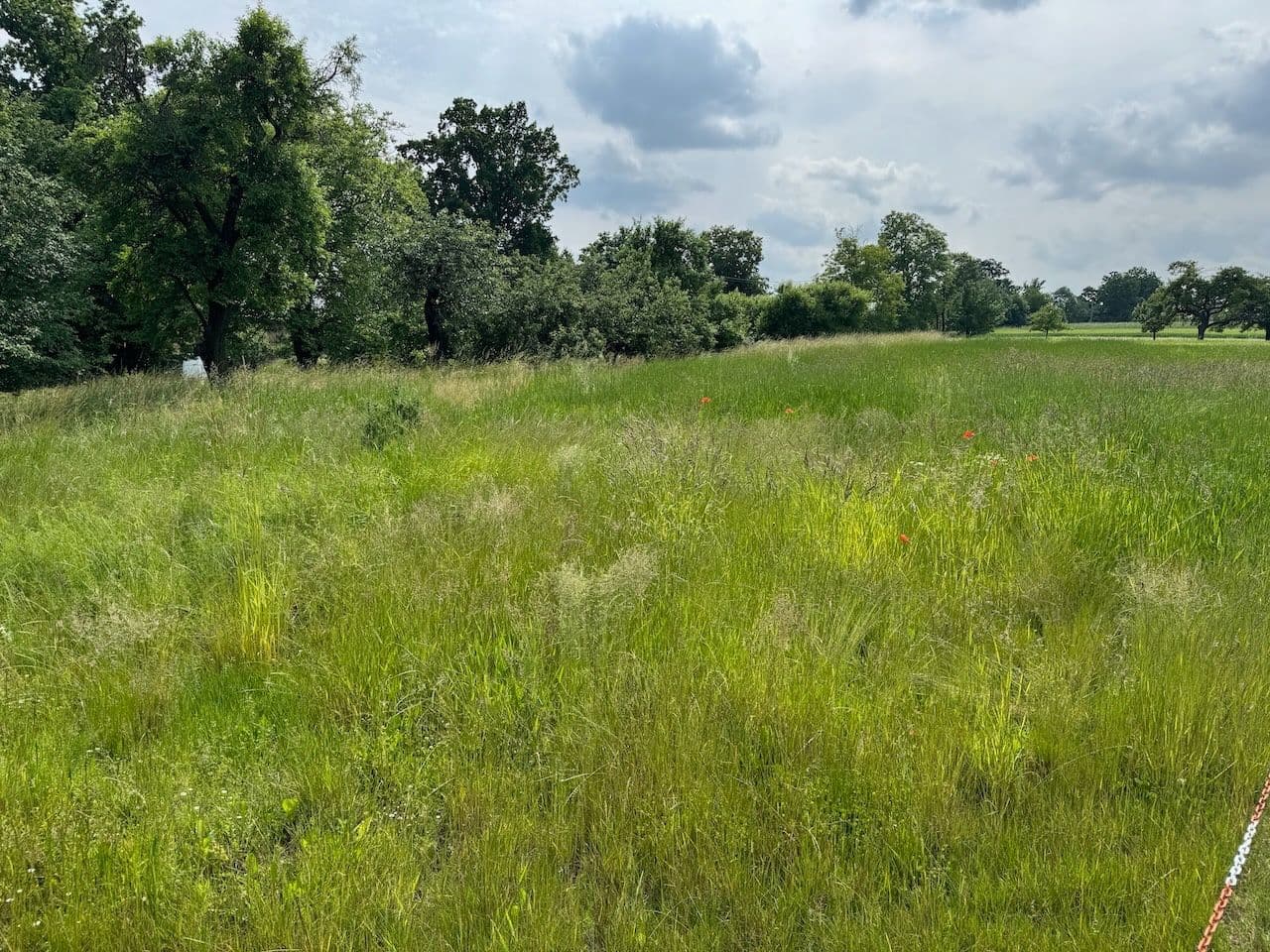 Predaj pozemku 962 m², Záhumenní, Slavkov, Moravskoslezský kraj Predaj pozemku 962 m², Záhumenní, Slavkov, Moravskoslezský kraj