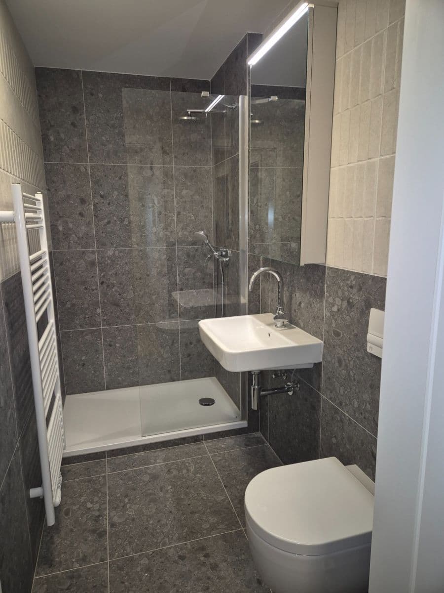 Prenájom bytu 1-izbový 37 m², Bratislavská, Brno, Jihomoravský kraj Prenájom bytu 1-izbový 37 m², Bratislavská, Brno, Jihomoravský kraj