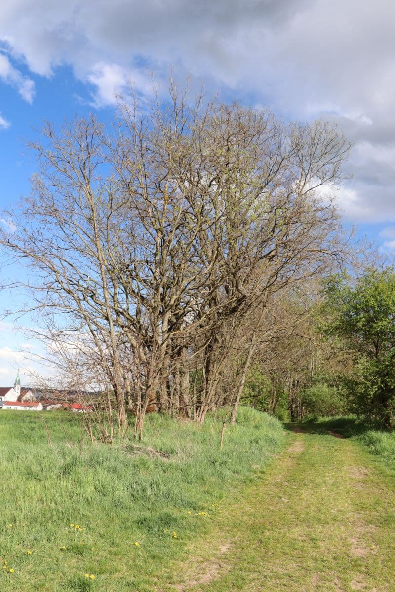 Predaj bytu 65 m², Jakubská, Jindřichův Hradec, Jihočeský kraj Predaj bytu 65 m², Jakubská, Jindřichův Hradec, Jihočeský kraj